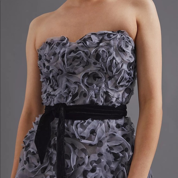 Anthropologie Appliqued Tulle Strapless Midi Dress - Picture 3 of 4